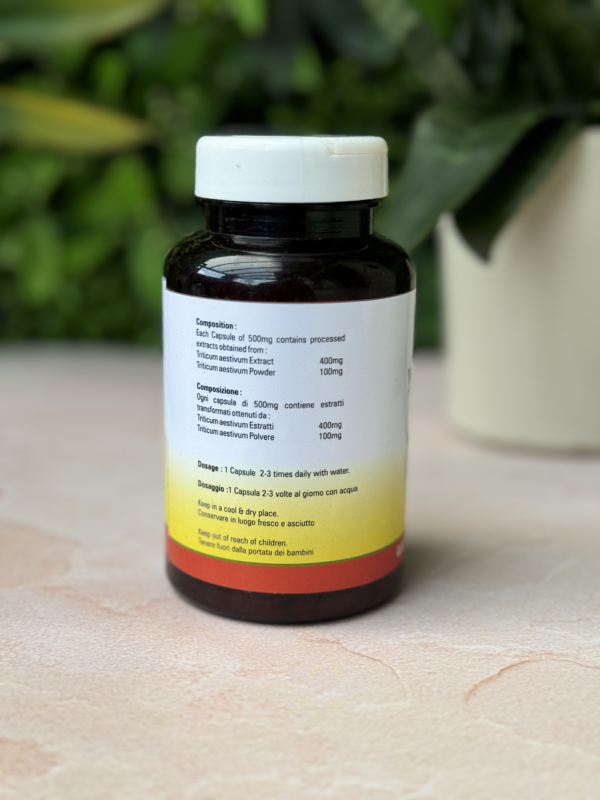 Wheatgrass Capsules - Image 2