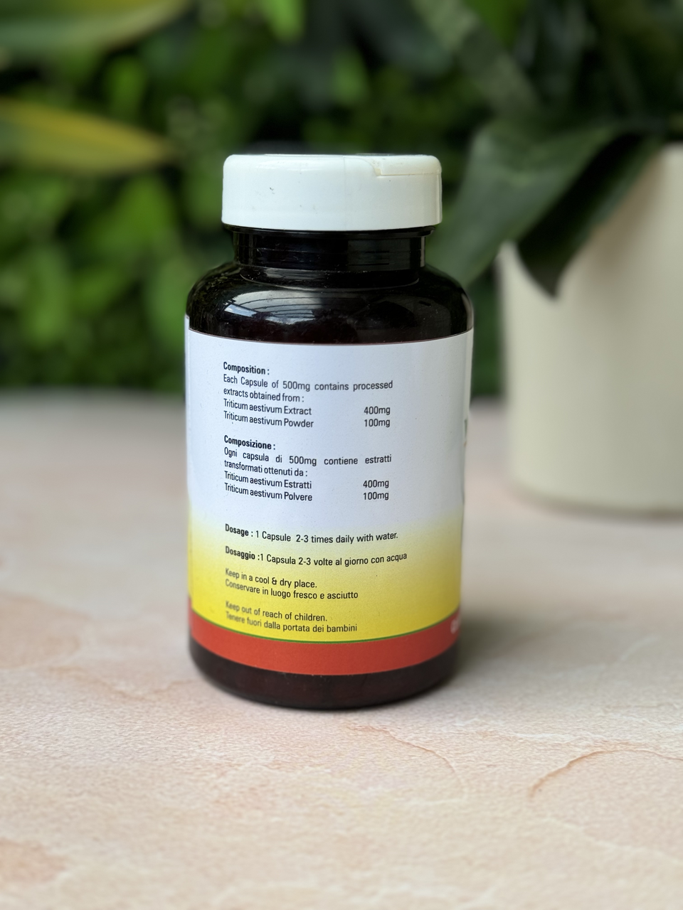Wheatgrass Capsules - Image 2
